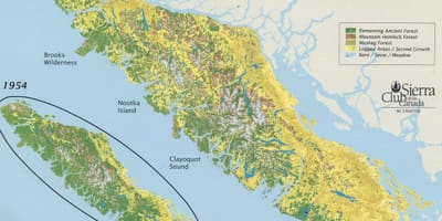 Rainforest แวนคูเวอร์เกาะบนแผนที่